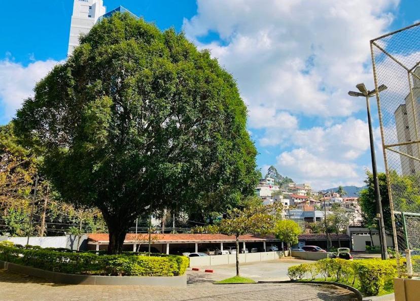 Apto Bem Localizado E Proximo Roda Gigante Em Bc! *